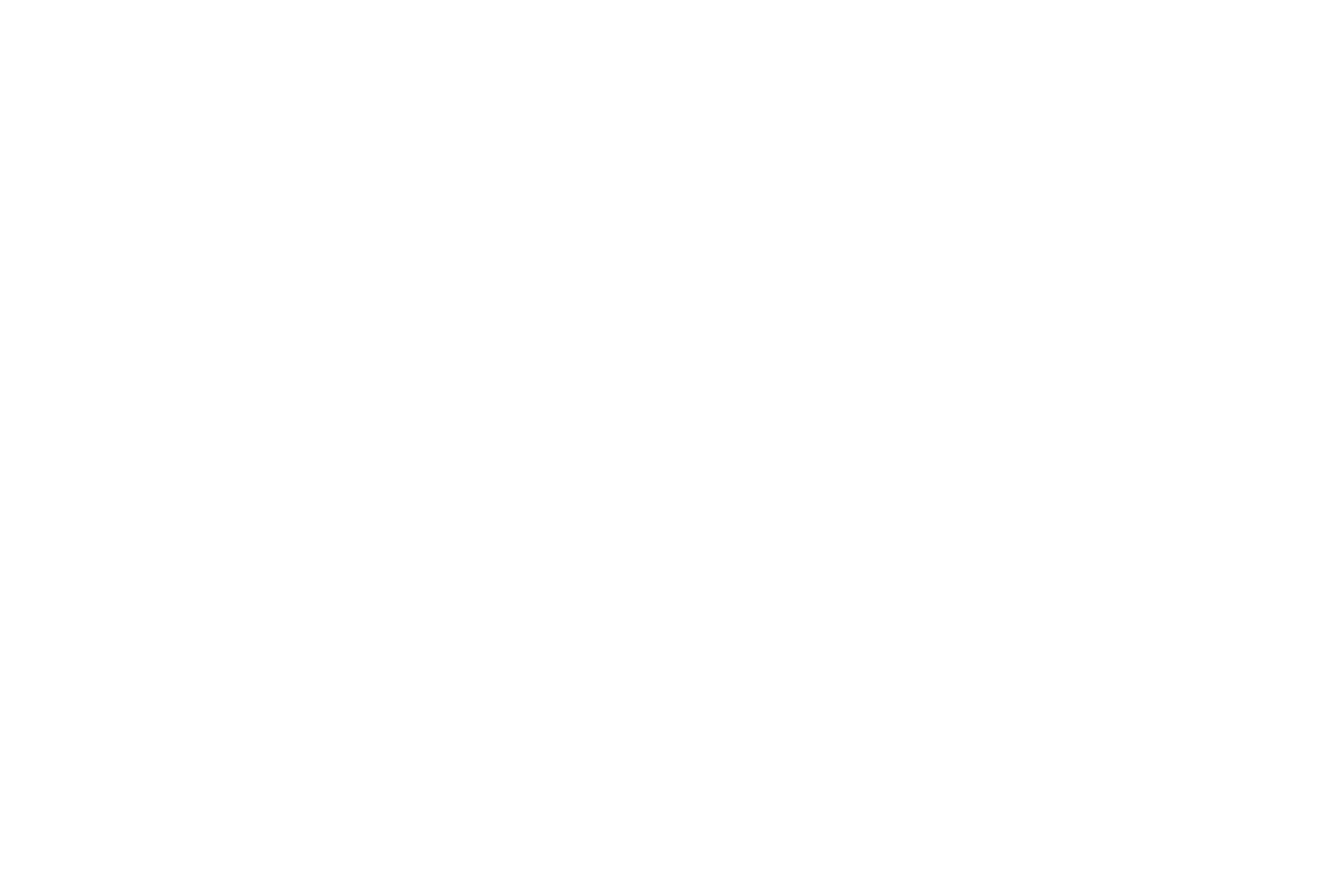 BITA NEGAHDAR