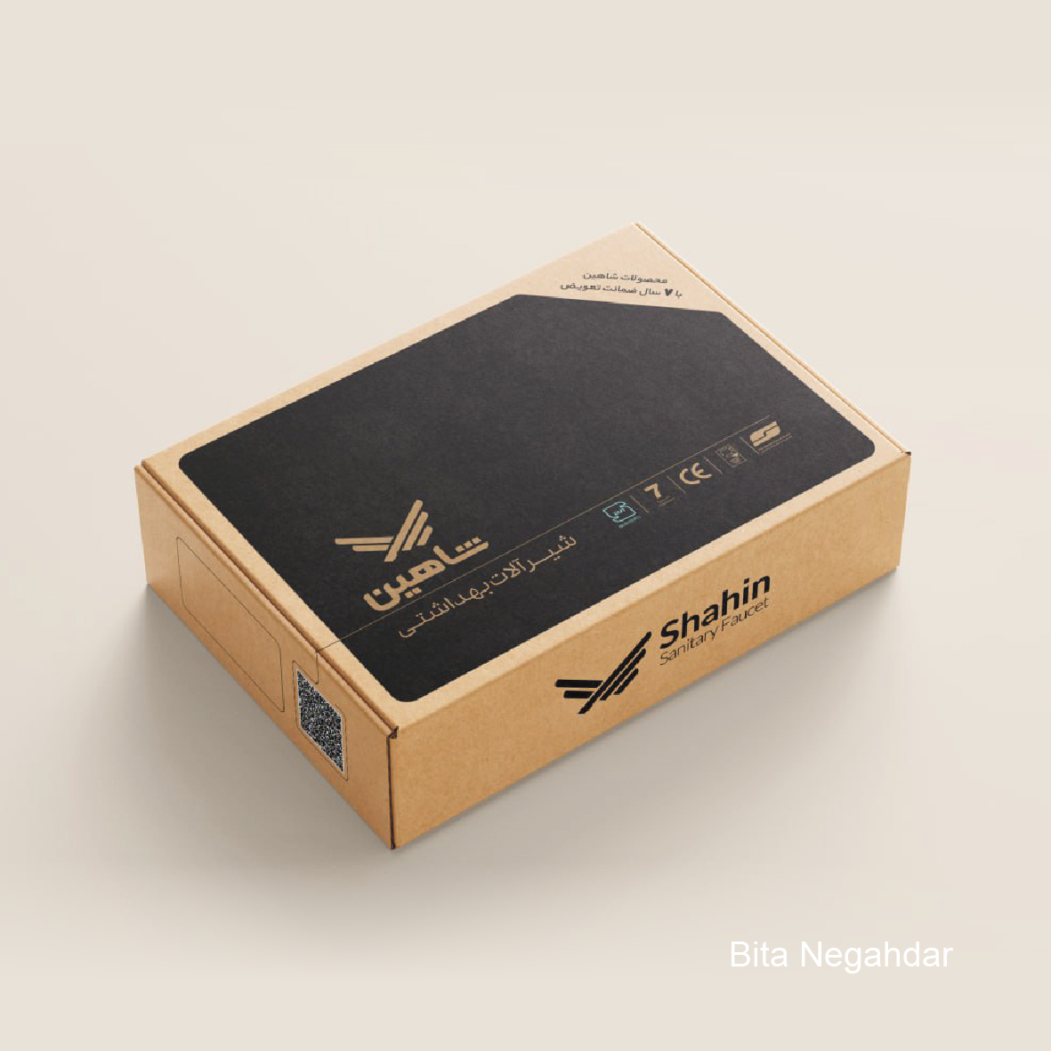 Packaging Project 24