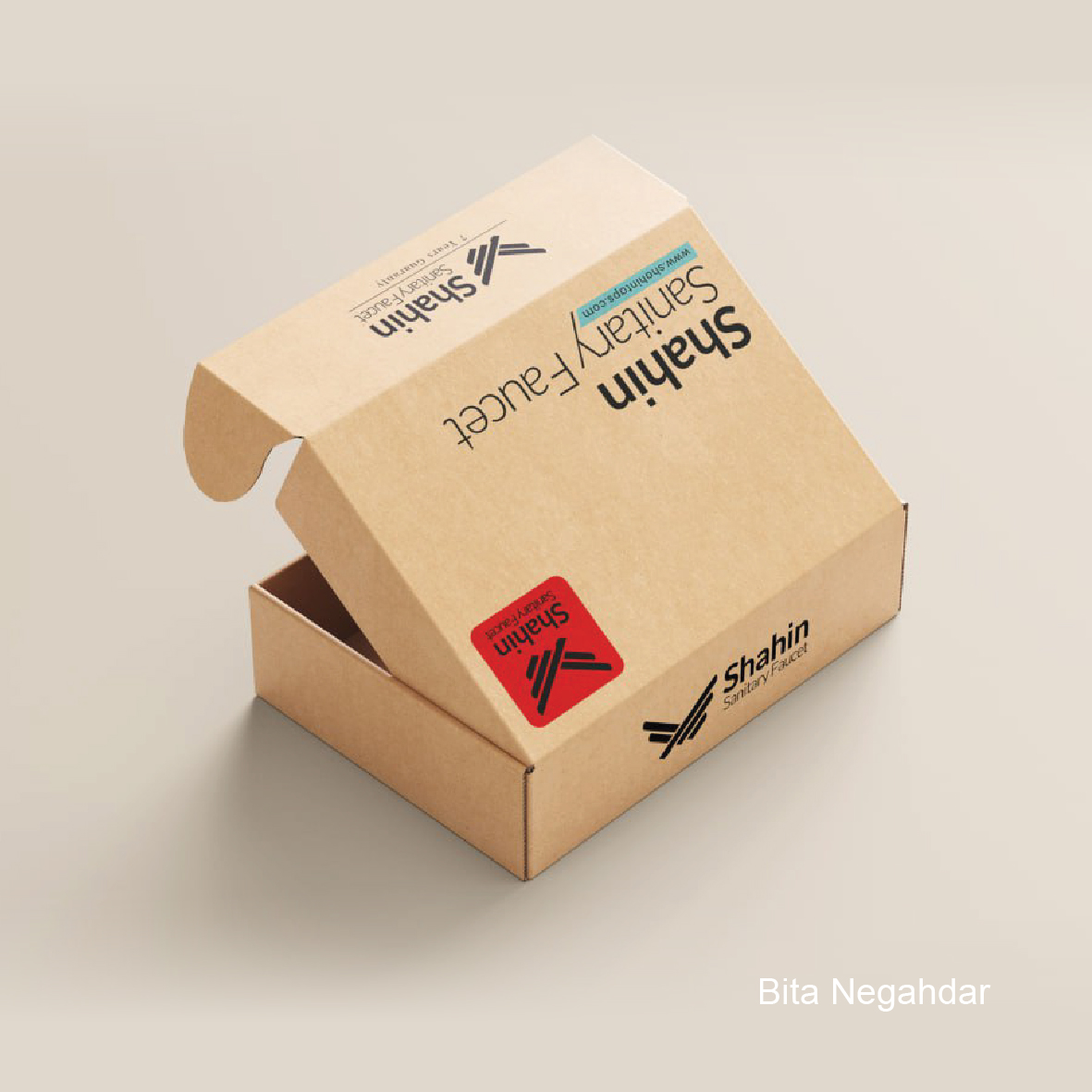Packaging Project 25