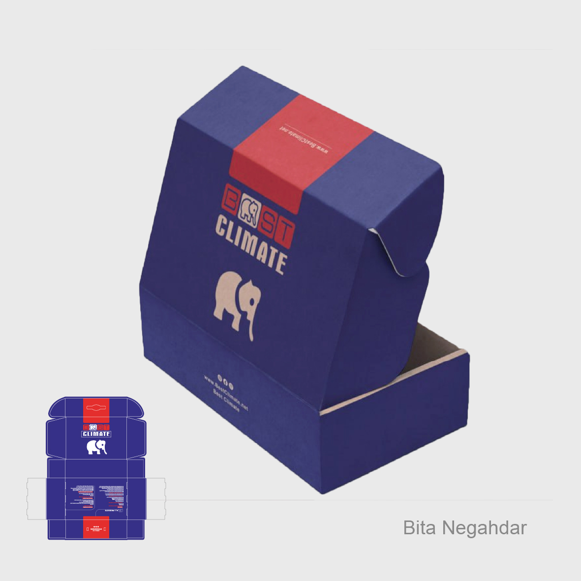 Packaging Project 26