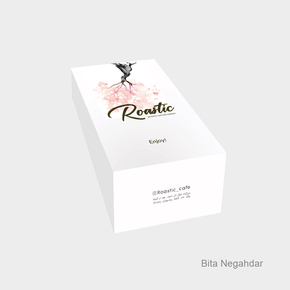 Packaging Project 32